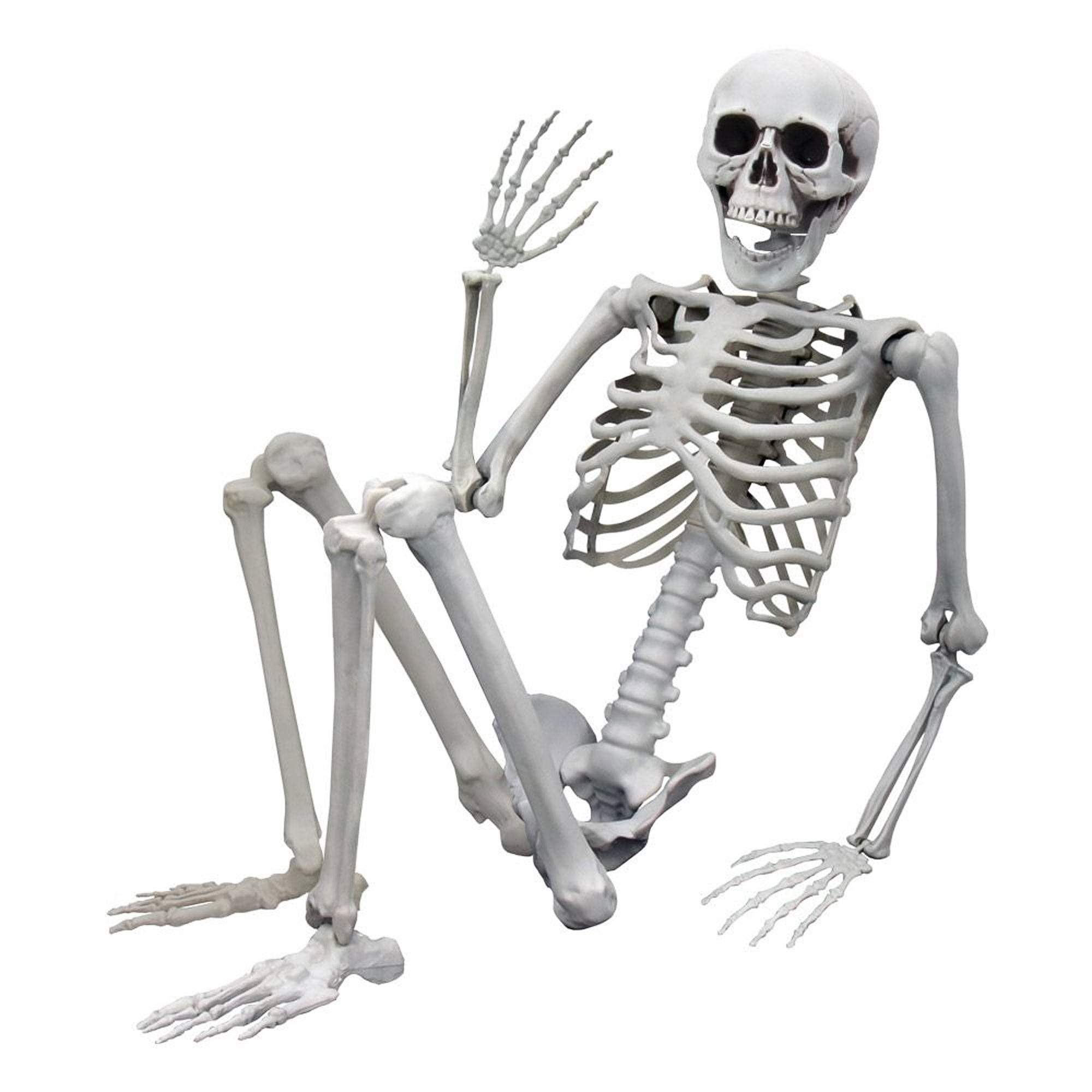 Deko Skelett - Lebensgroße Gruseldeko für Halloween